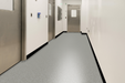 Close-up of Antler 1/4" flake on finished floor, showing smooth light tan texture.
